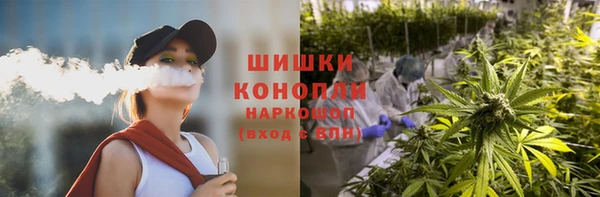 дурь Магас