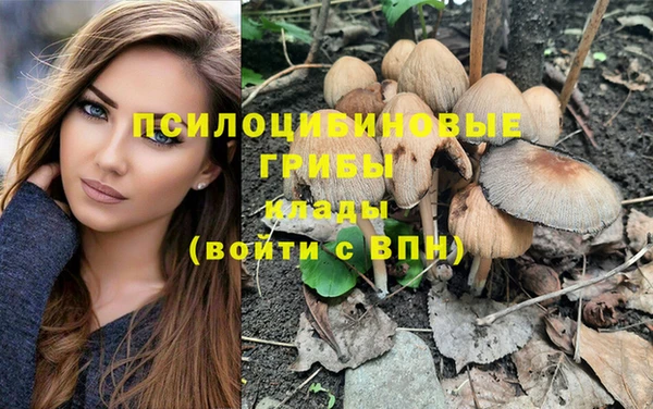 прущая мука Саяногорск