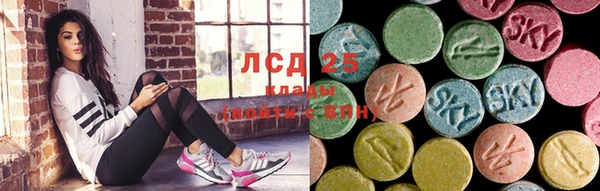 стафф Тында
