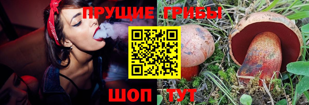 Узловая  Галлюциногенные грибы мицелий  Вход с VPN 