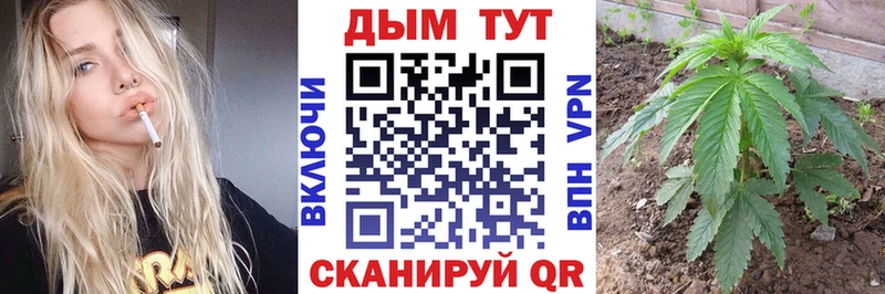 Бошки Шишки THC 21%  Узловая 