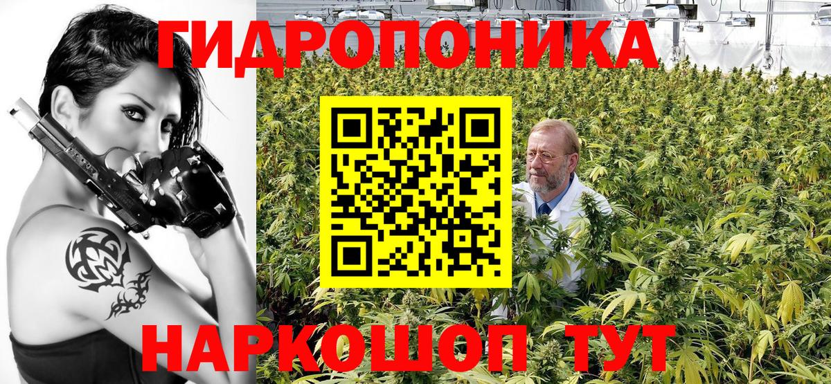 Бошки марихуана White Widow Узловая